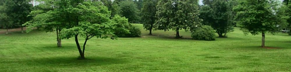 Genesis 7 Sprinklers